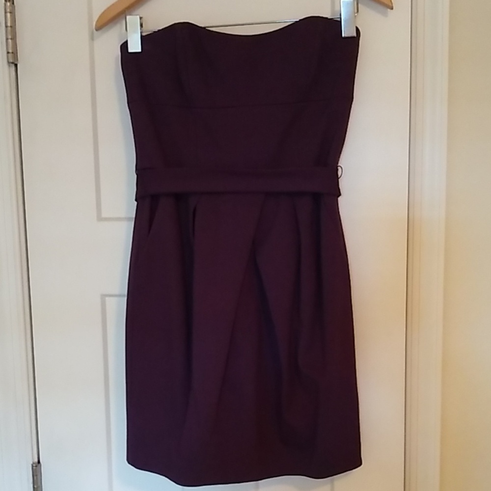 Cynthia Steffe Purple Mini